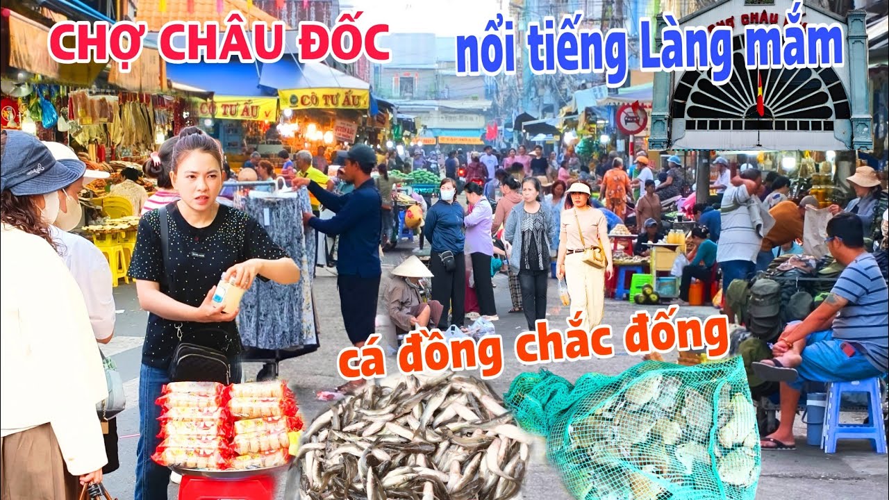CHỢ CHÂU ĐỐC Điểm đến KHU VU LỊCH đặc sắc nổi tiếng Làng mắm bán cá đồng chắc đống đống