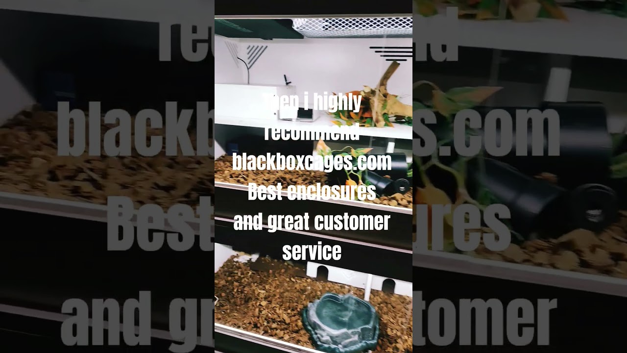 #blackboxcages