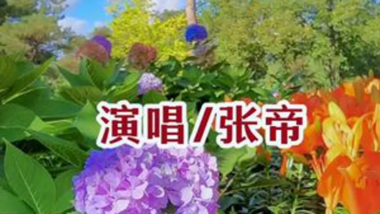 #好听的音乐分享 #创作者中心 #创作灵感 #张帝#完整版