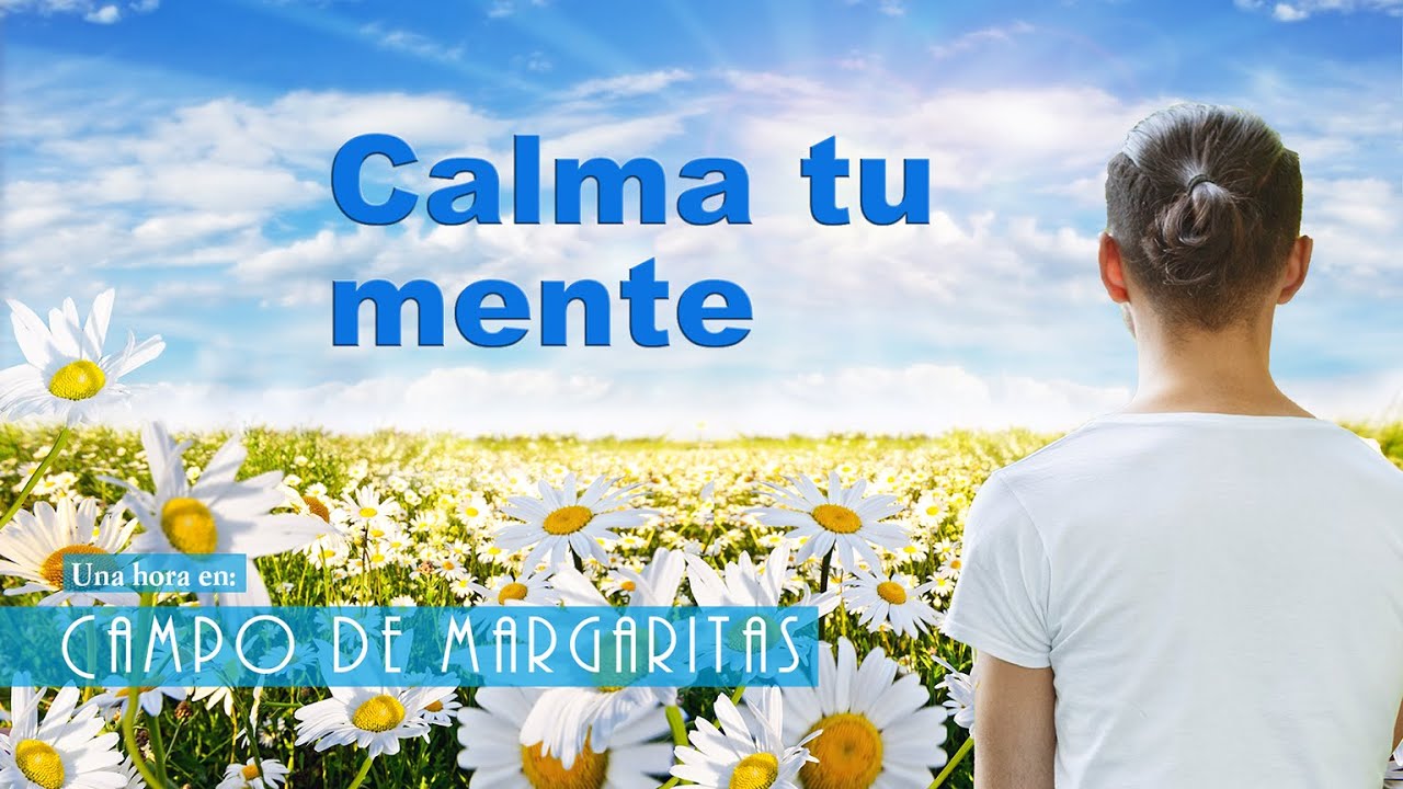 Música para Sanar el Alma: Un Paseo por las Flores