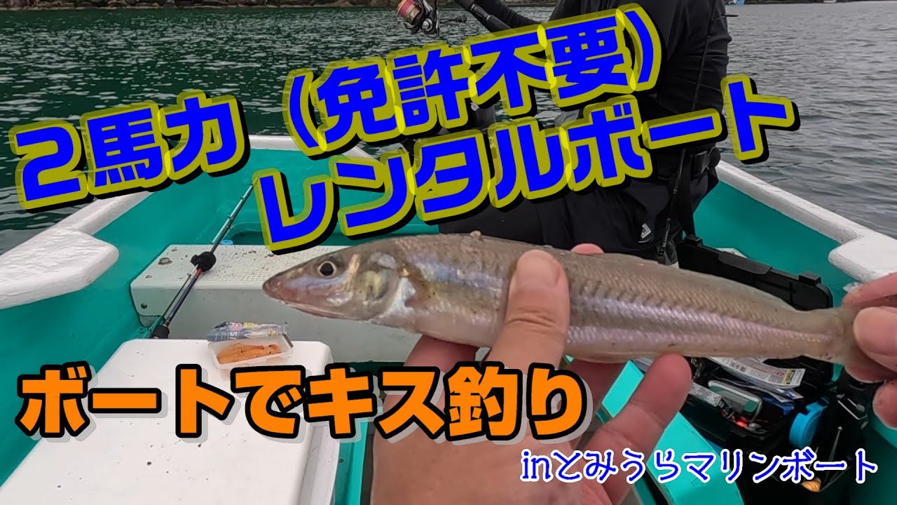 免許不要【２馬力ボート】でシロギス釣り！キス以外にも・・・