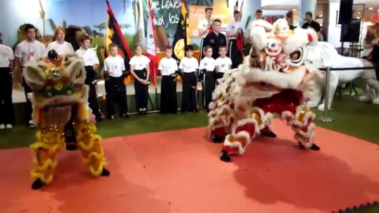 Traditioneller Chinesischer Löwentanz