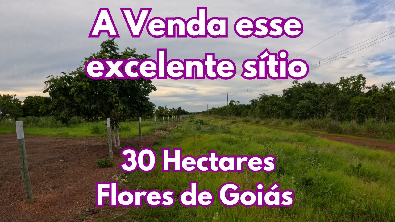 A Venda esse excelente sítio de 30 Hectares em Flores de Goiás