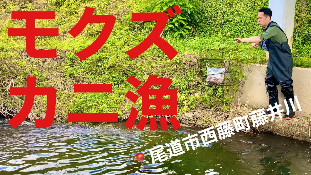 尾道市西藤町藤井川産モクズガニ漁編