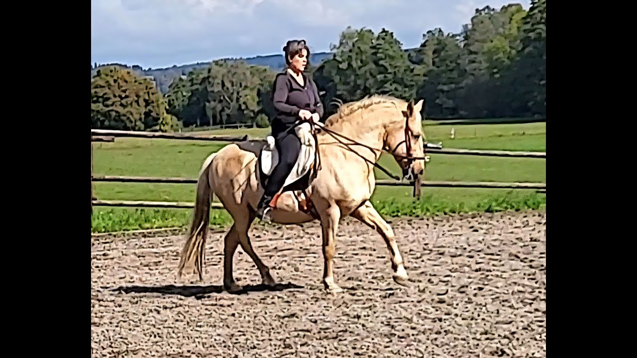 Renvers & Renverspirouetten Tips zum Training, den Galopp verbessern
