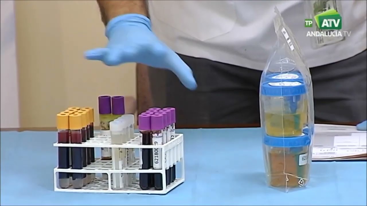 Reportaje Biobanco y Registro de Donantes Conciencia 2018