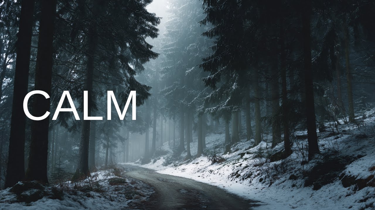 CALM | Deep Silence in the Winter Forest (Soft Piano)