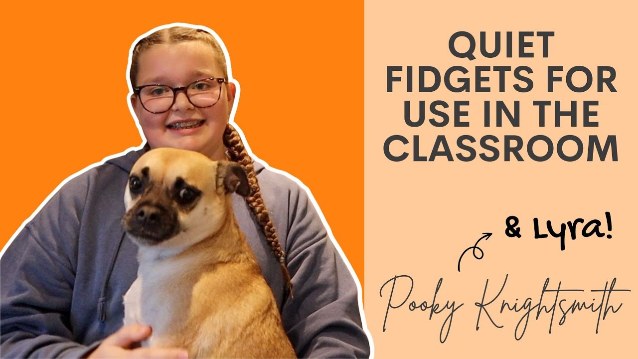 ADHD/AUTISM | Fidgets for the Classroom with Lyra