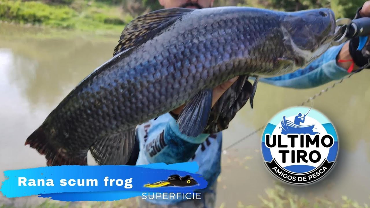 La MEJOR primer pesca con SEÑUELOS del 2025