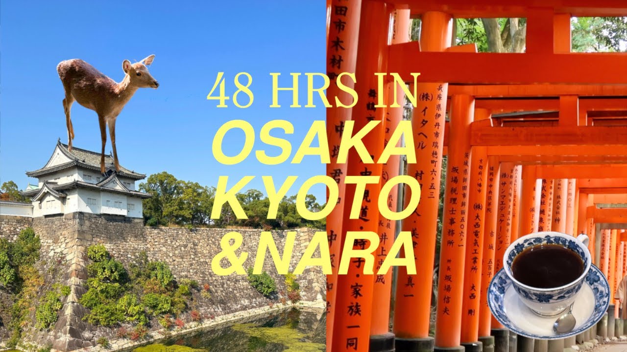exploring nara park, osaka castle & fushimi inari 🦌⛩️🍊