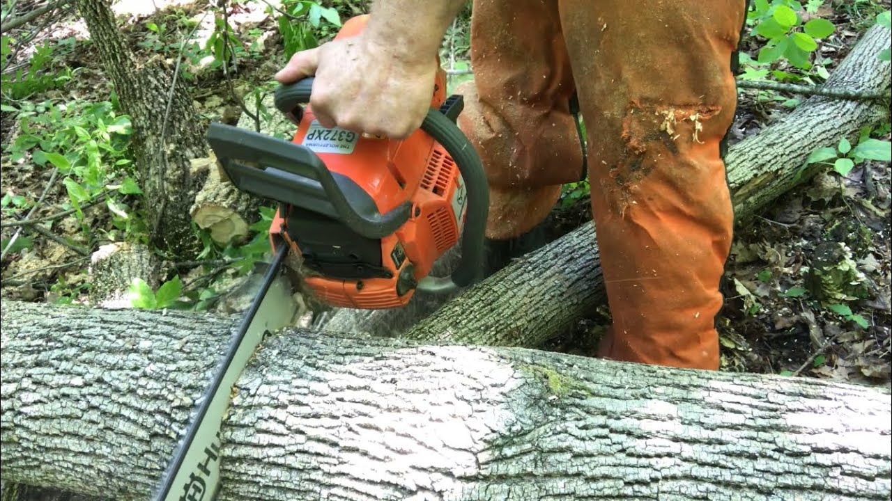 Cutting firewood with my Holzfforma G372XP chainsaw