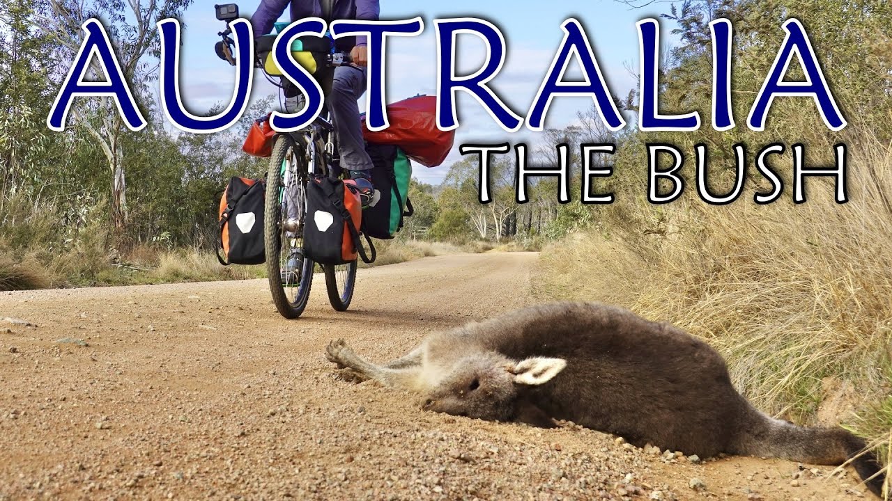 Cycling Across Australia - The Aussie Bush // A Bike Touring Short Film // Part 33 - Australia