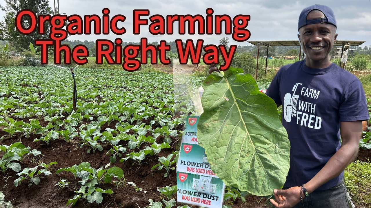 Best Organic Products to Use in Farming and How They Work