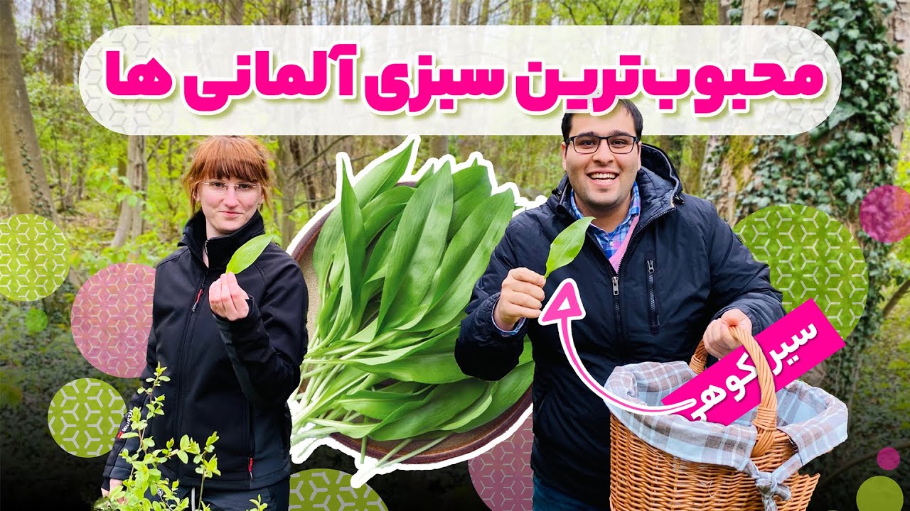 برلاوخ یا سیر کوهی چیه که آلمانیا رو اسیر خودش کرده؟