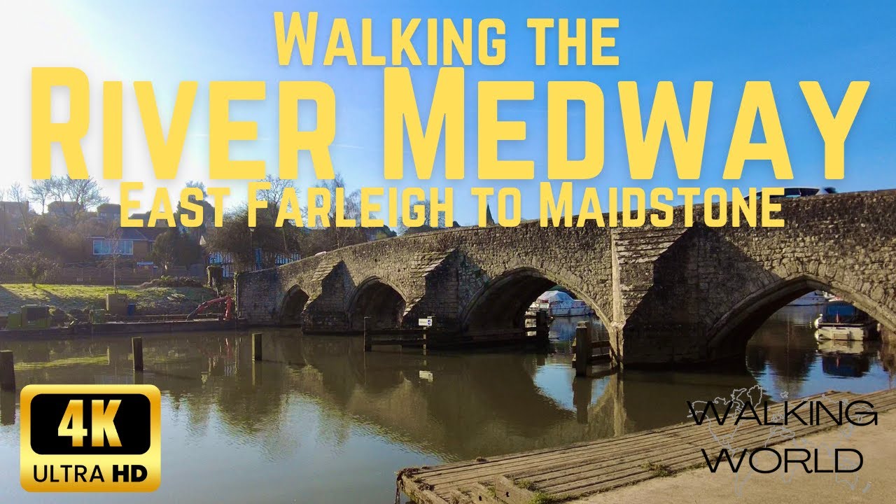 🌿 Relaxing Walk Along the River Medway | East Farleigh to Maidstone [4K 60fps] With Swans!