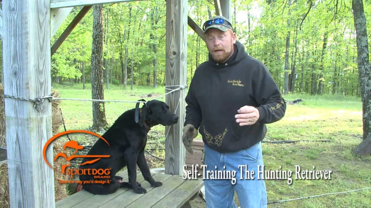Vid 10 Start of Force Fetch