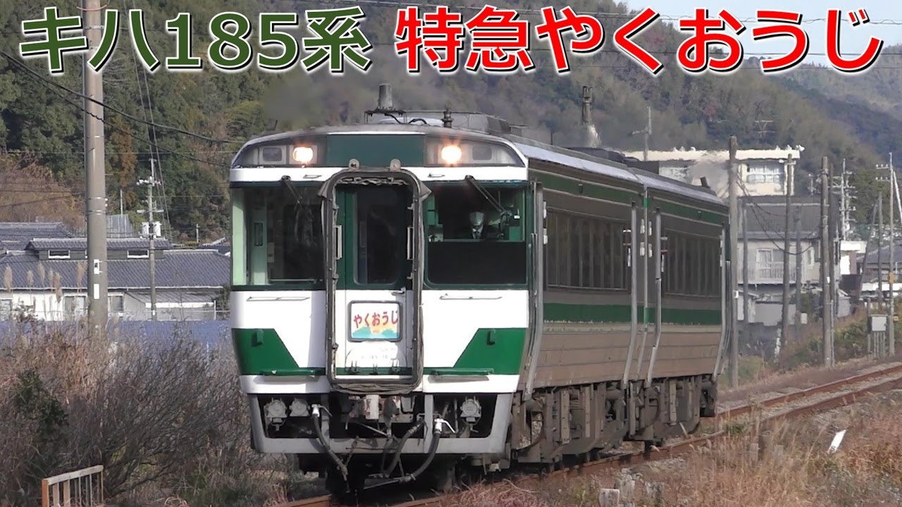 【追っかけ動画】2026年新春 特急やくおうじ キハ185系国鉄色