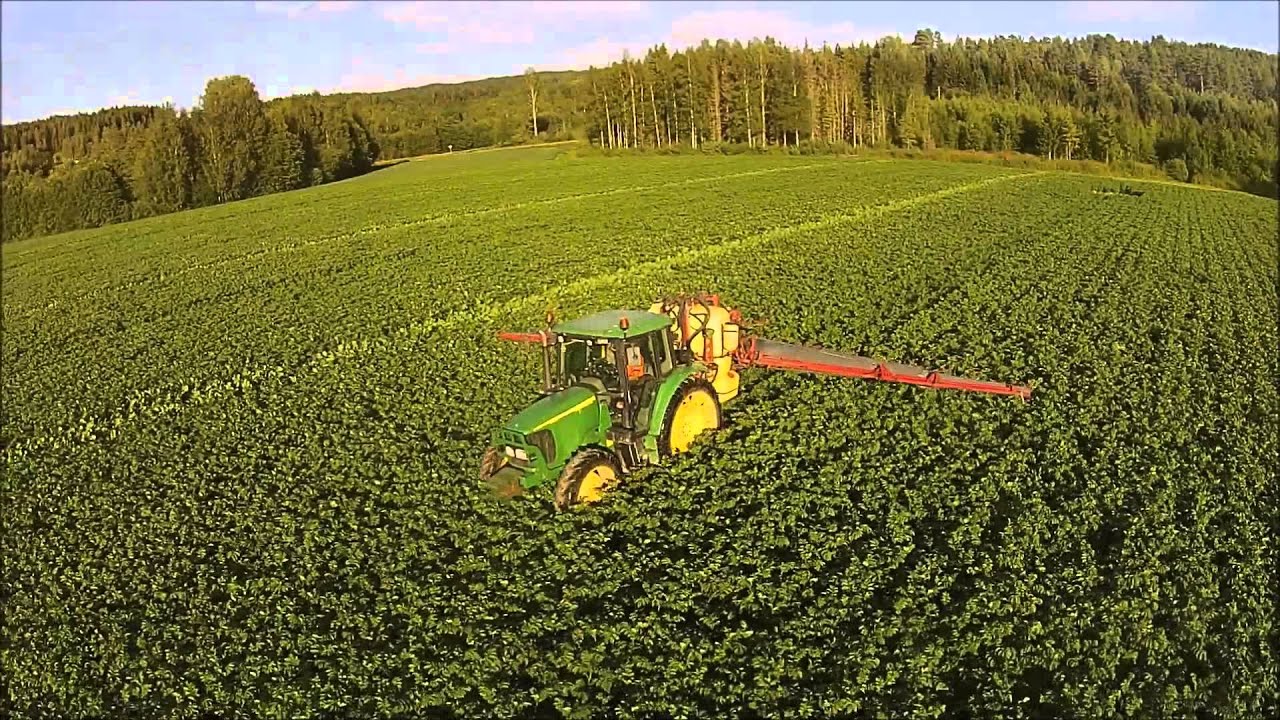 A year of farming - In beautiful Nord-Odal, Norway