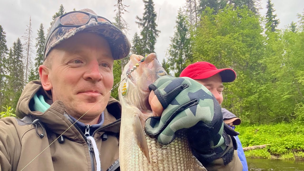 ✅ НА ВОДОМЁТАХ ПО ТАЁЖНОЙ РЕКЕ🚀РЫБАЛКА НА ХАРИУСА🎣🐟🐟🐟 5 ДНЕЙ В ТАЙГЕ С ДРУЗЬЯМИ👍☀️ #рыболов_севера