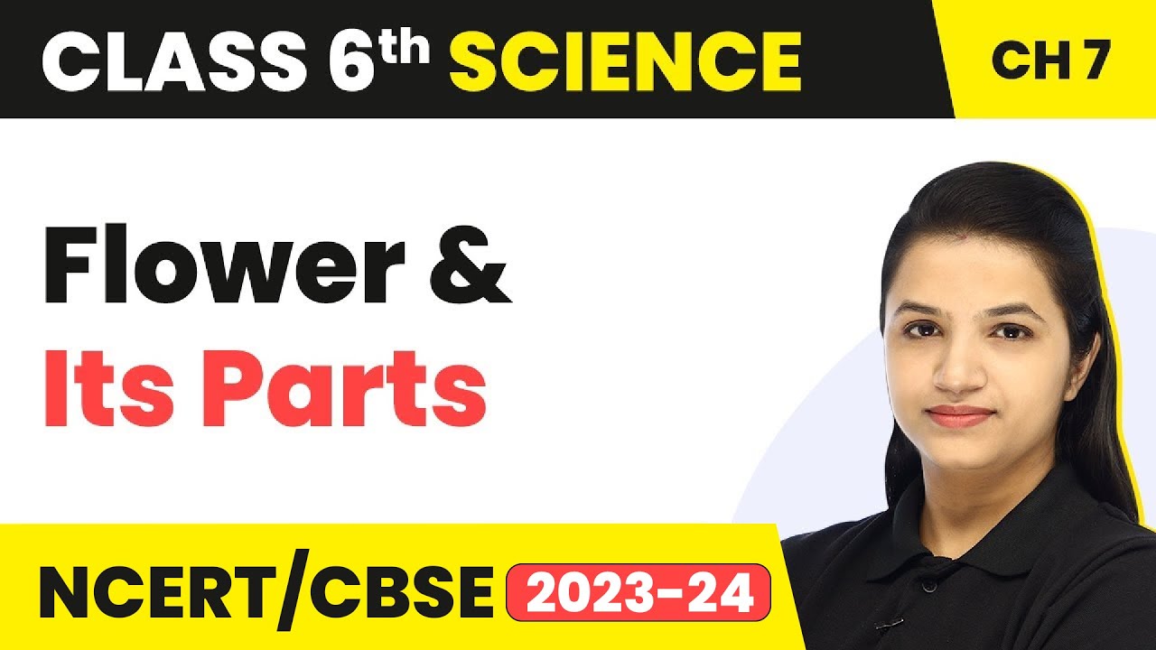 Class 6 Science Chapter 7 | Getting to Know Plants - Flower & Its Parts