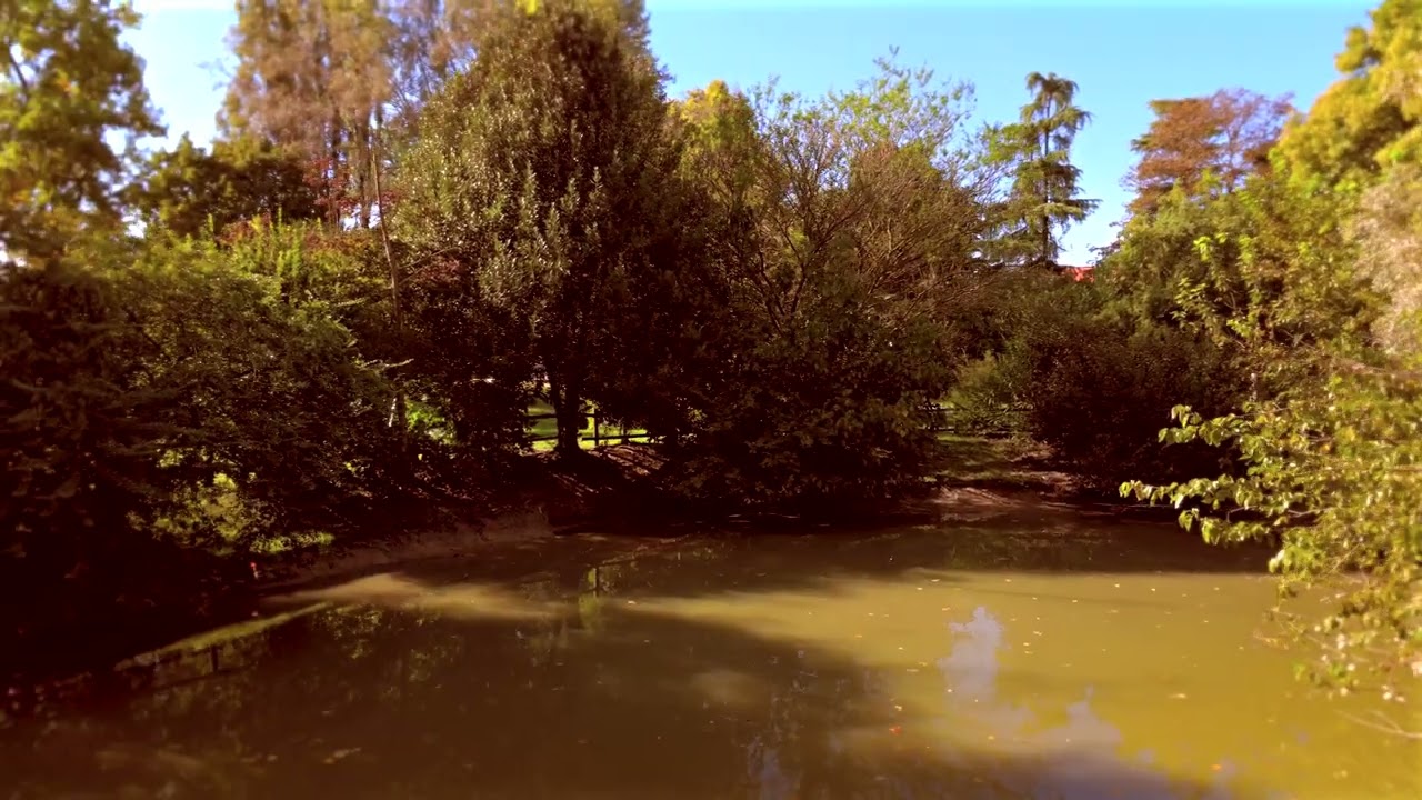 autumn 2024 , mavic 3 pro