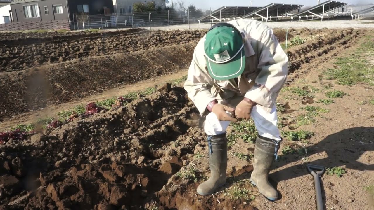 野菜畑　天地返し　寒晒し　32日目　中国漁船拿捕　2月14日