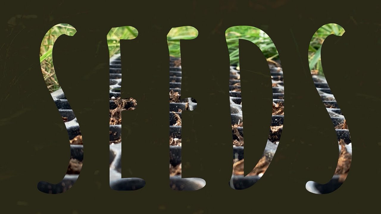 Seeds, The Documentary