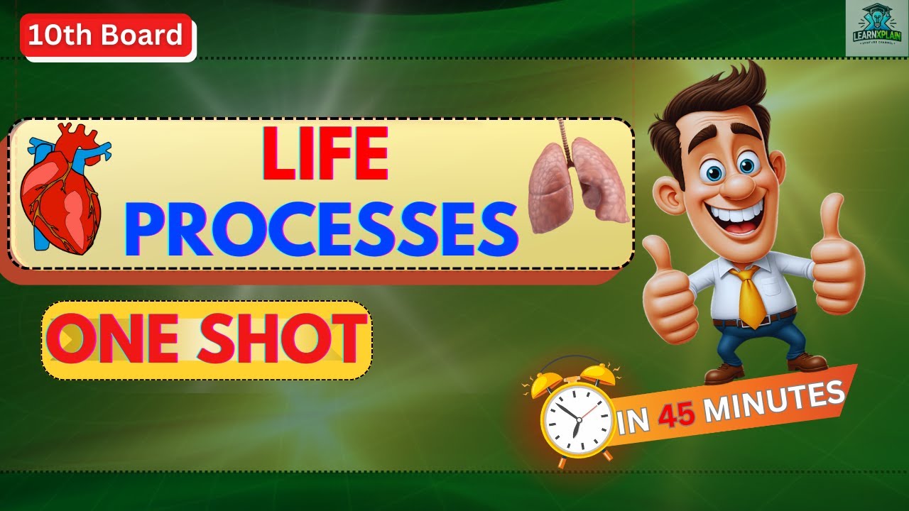 LIFE PROCESSES IN 45 MINUTES II ONE SHOT II FULL CHAPTER WITH PYQ II CLASS10th board.