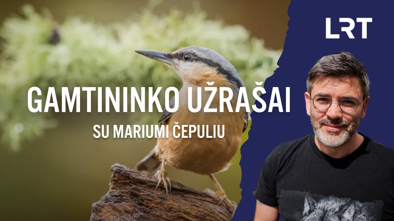 Gamtininko užrašai. Gamtos „Lioleką ir Boleką“ aptikęs Čepulis: šie draugeliai visada būna kartu