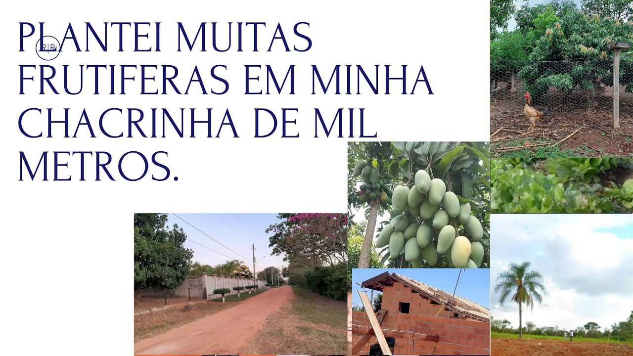 É POSSÍVEL  TER TANTAS COISAS EM UMA #CHÁCARA DE MIL METROS QUADRADOS ASSIM COMO NA MINHA.