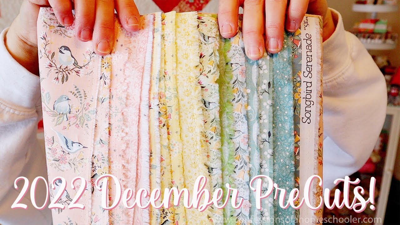 2022 December PreCuts Quilt Box (Quilt Box Unboxing!)
