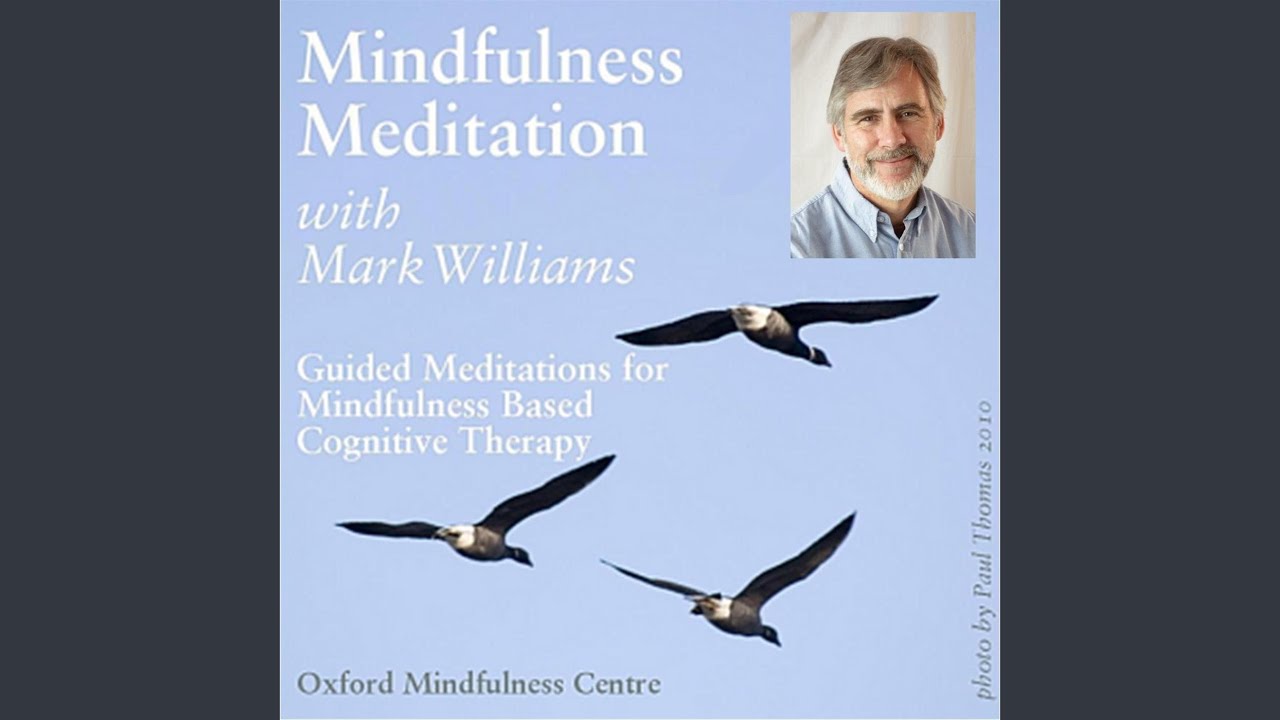 Mindful Movement Meditation