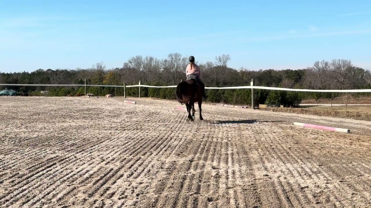 Lindsey Ruffin & Chaim, Intro Test B