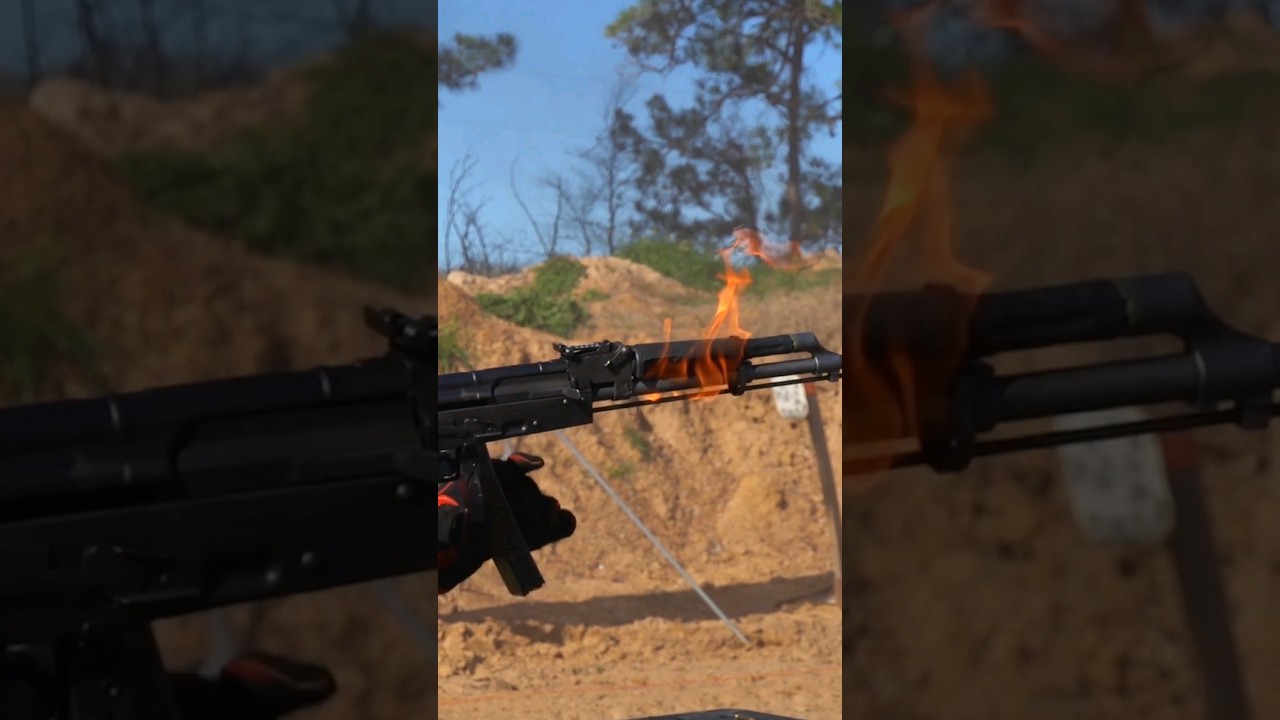 Budget 556 AK Meltdown: Pioneer arms