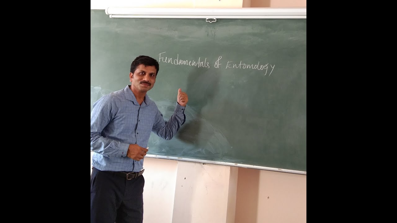 Insect Excretory System, Fundamentals of Entomology; B Sc (Agri), Lecture by Dr Kalleshwara swamy CM