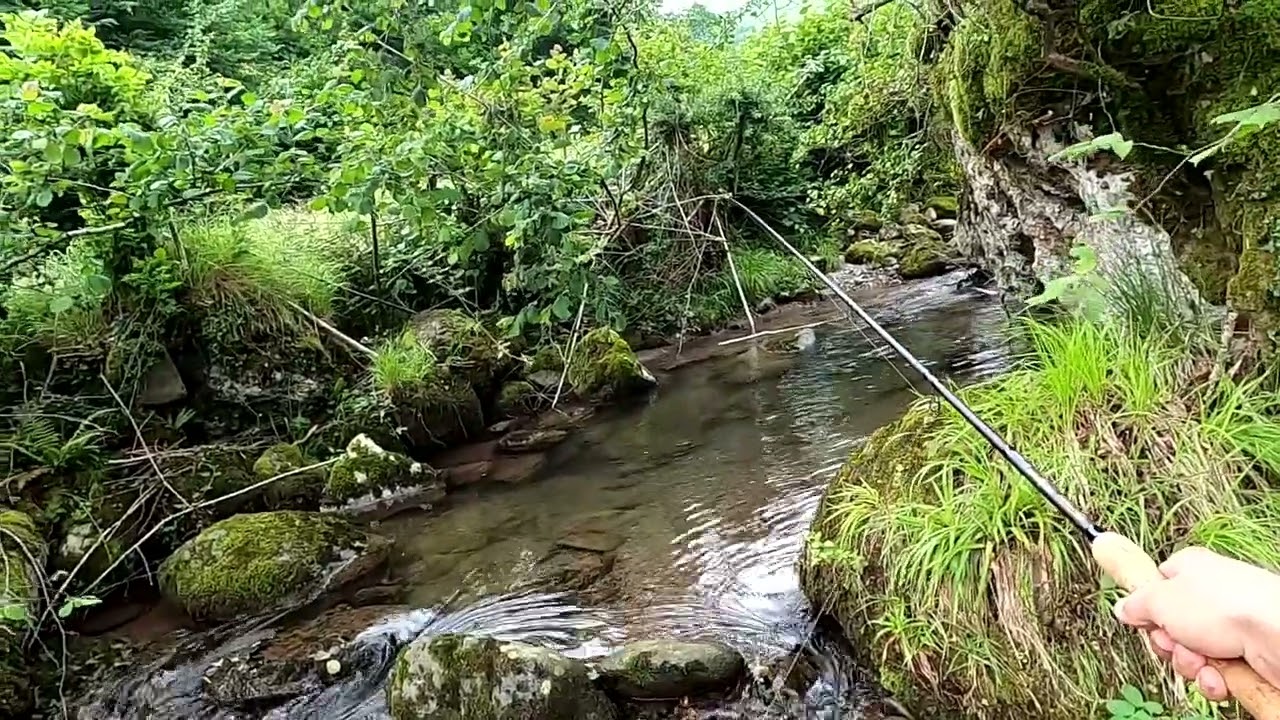 La traditionnelle pêche à la truite au toc