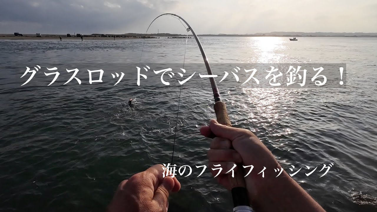 グラスロッドでシーバスを釣る！　身近な海でフライフィッシング