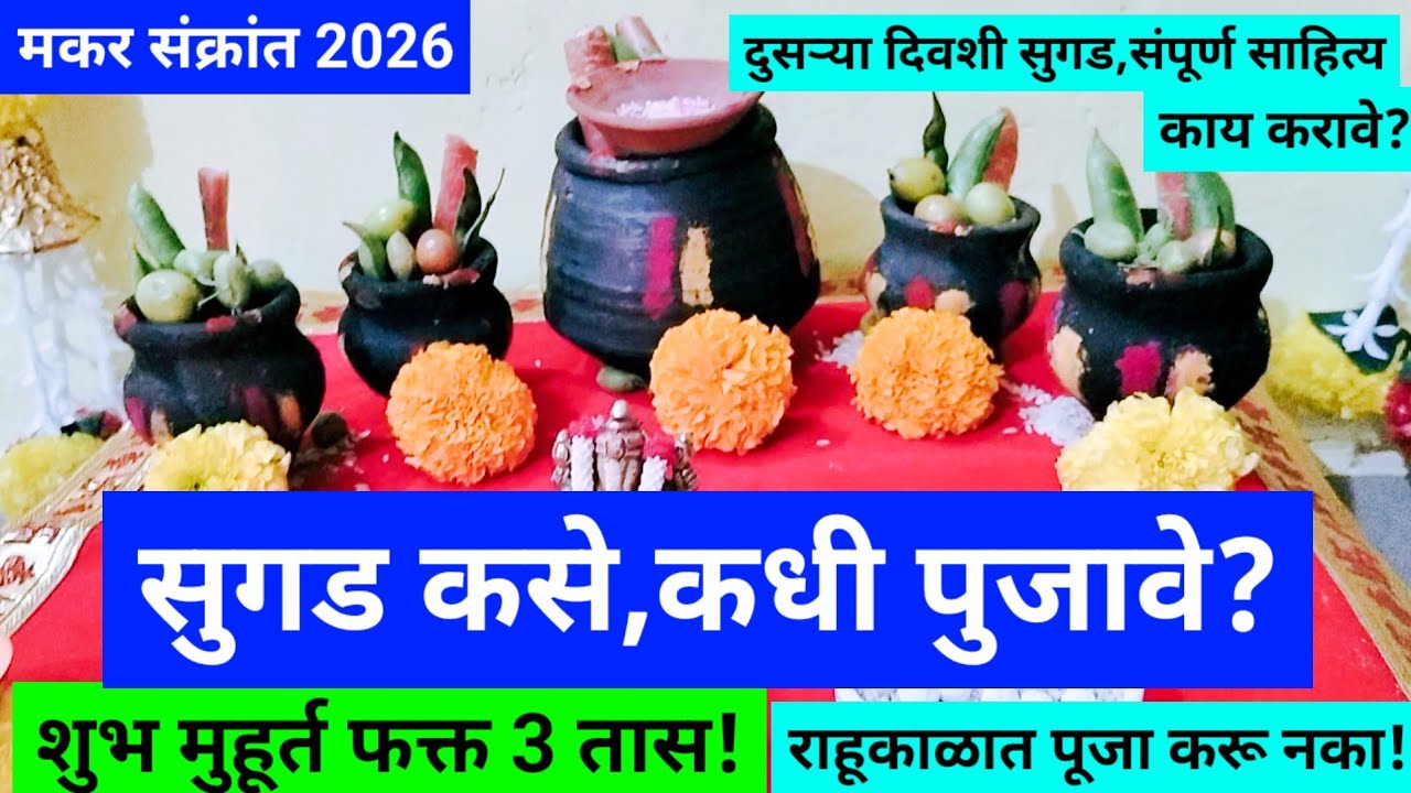 #makarsankranti2026 सुगड पूजा कशी,कधी करावी? शुभ मुहूर्त फक्त ३ तास! राहूकाळात चुकूनही पूजा करू नका?