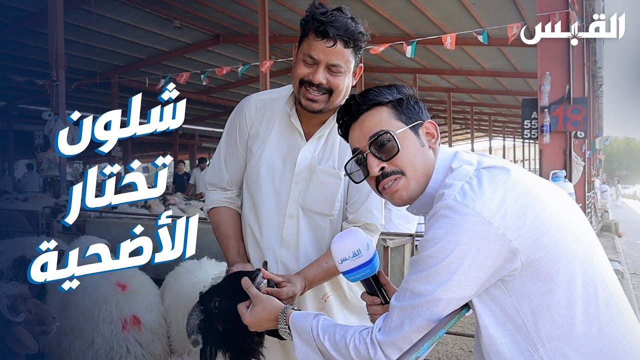 كيف تختار الأضحية.. مع الزميل ناصر