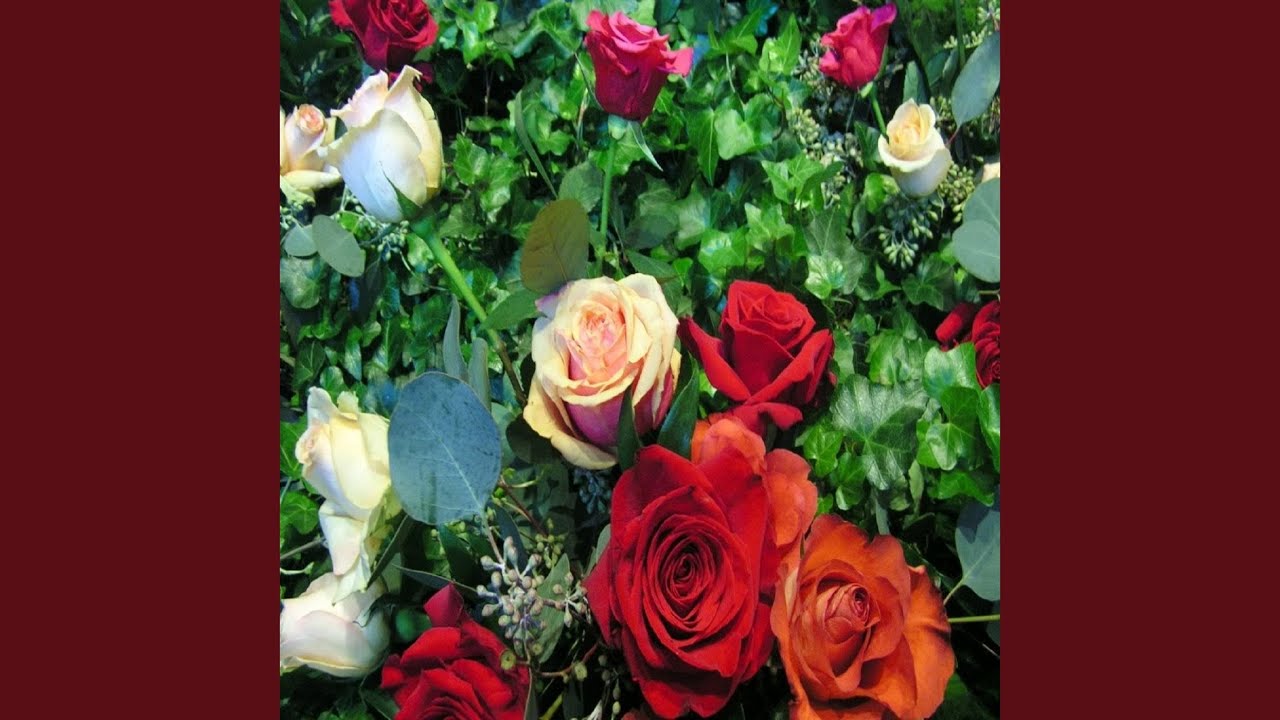 Ivory Roses