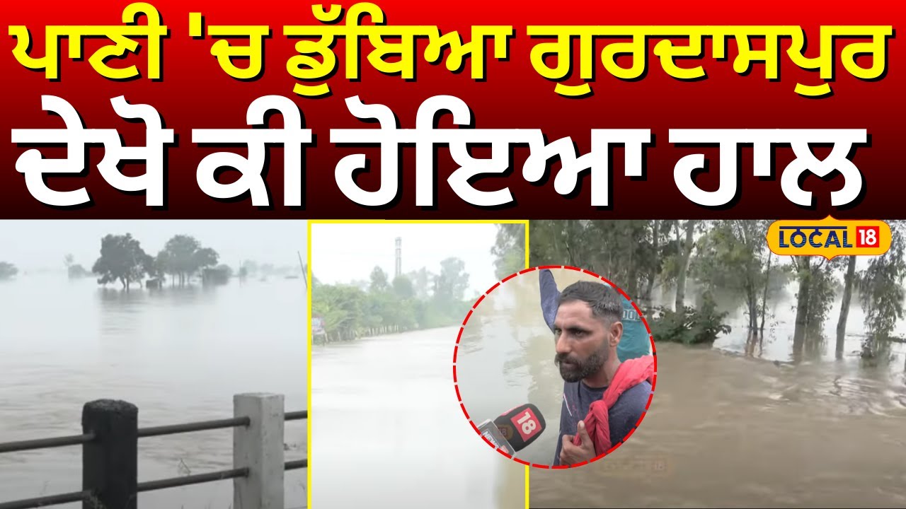 Gurdaspur Floods Update | ਪਾਣੀ 'ਚ ਡੁੱਬਿਆ ਗੁਰਦਾਸਪੁਰ, ਦੇਖੋ ਕੀ ਹੋਇਆ ਹਾਲ | Latest News | #local18