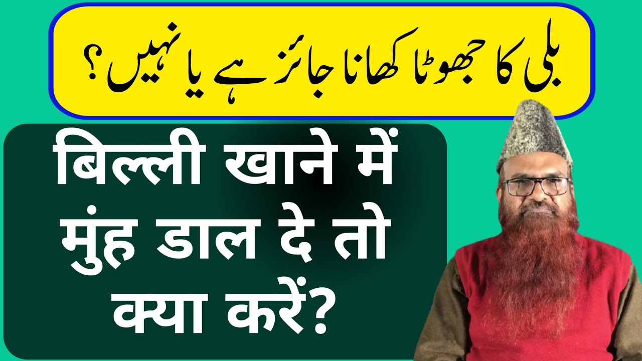 Kya Billi ka Jhota Paak hai? by Sheikh Razaullah Abdul Karim Madni