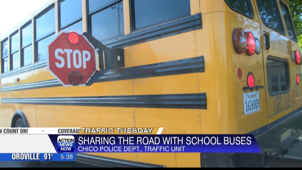 Traffic Tuesday: Sharing the road with school buses as new school year begins