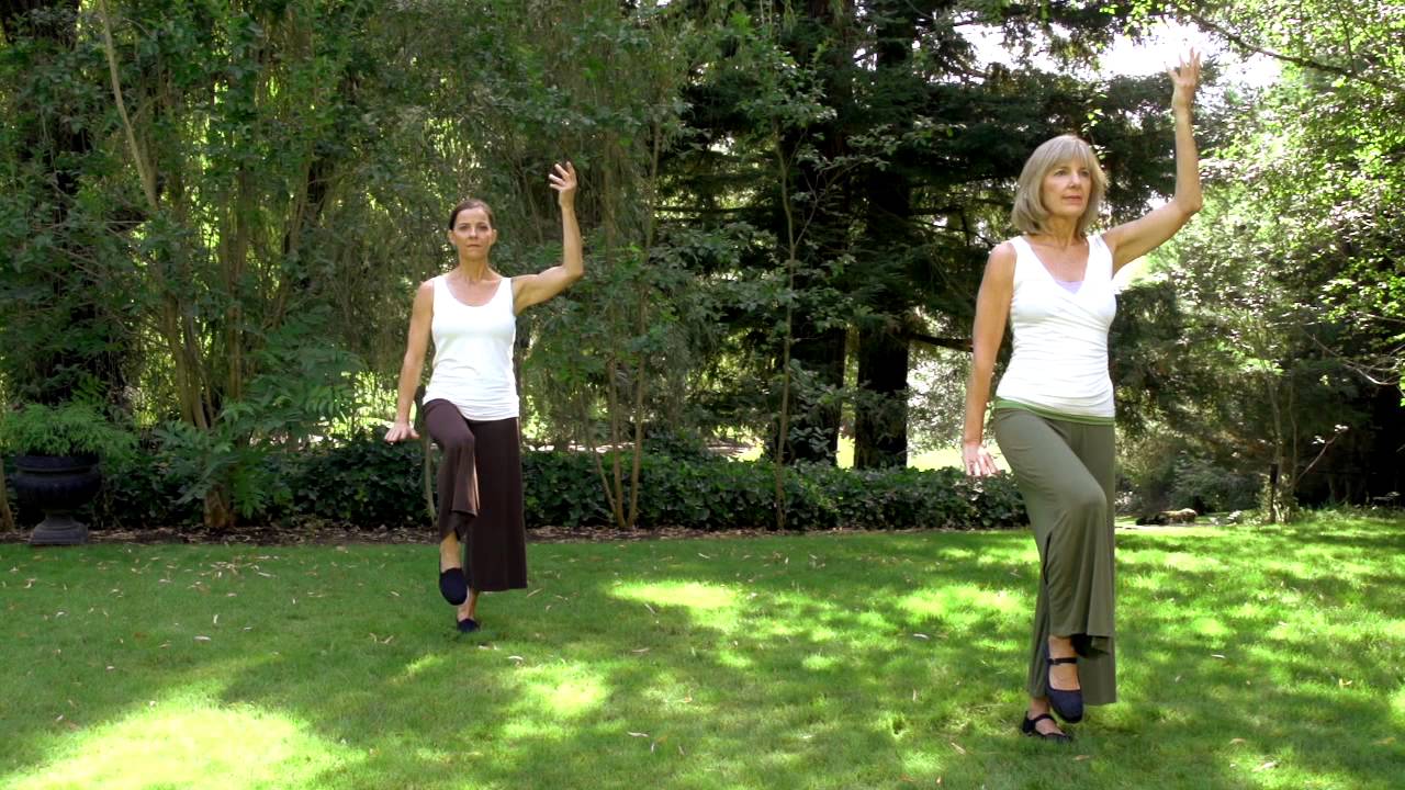 Dynamic Woman Preview: Beautiful Woman Pose