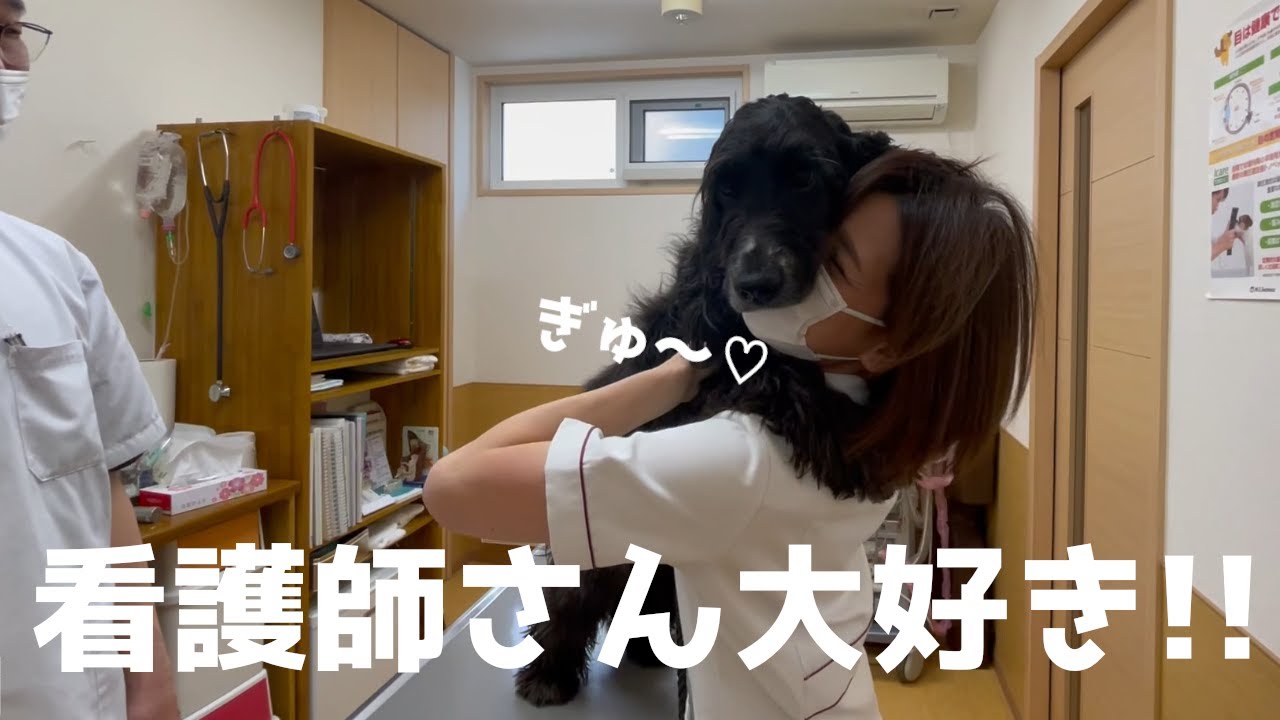 人間だったら通報されますよ！