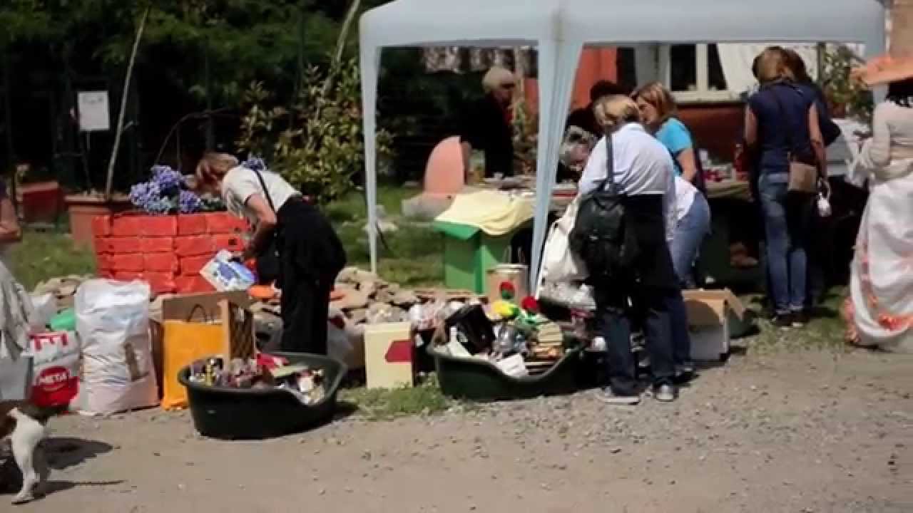 Canile Municipale di Verbania