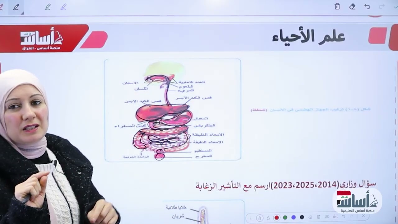 شلون اقرأ الرسومات في الاحياء؟ 