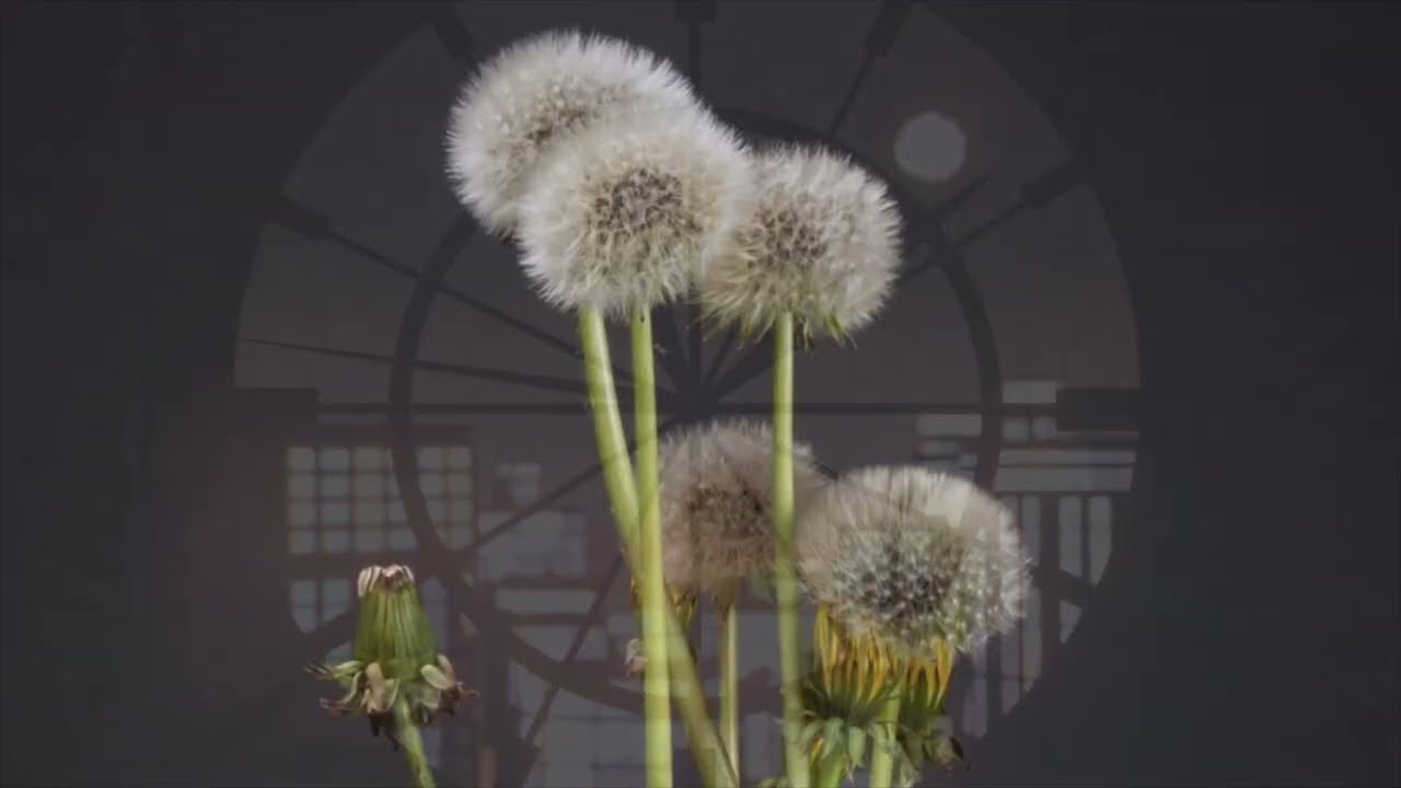 Tell me (when is our time)