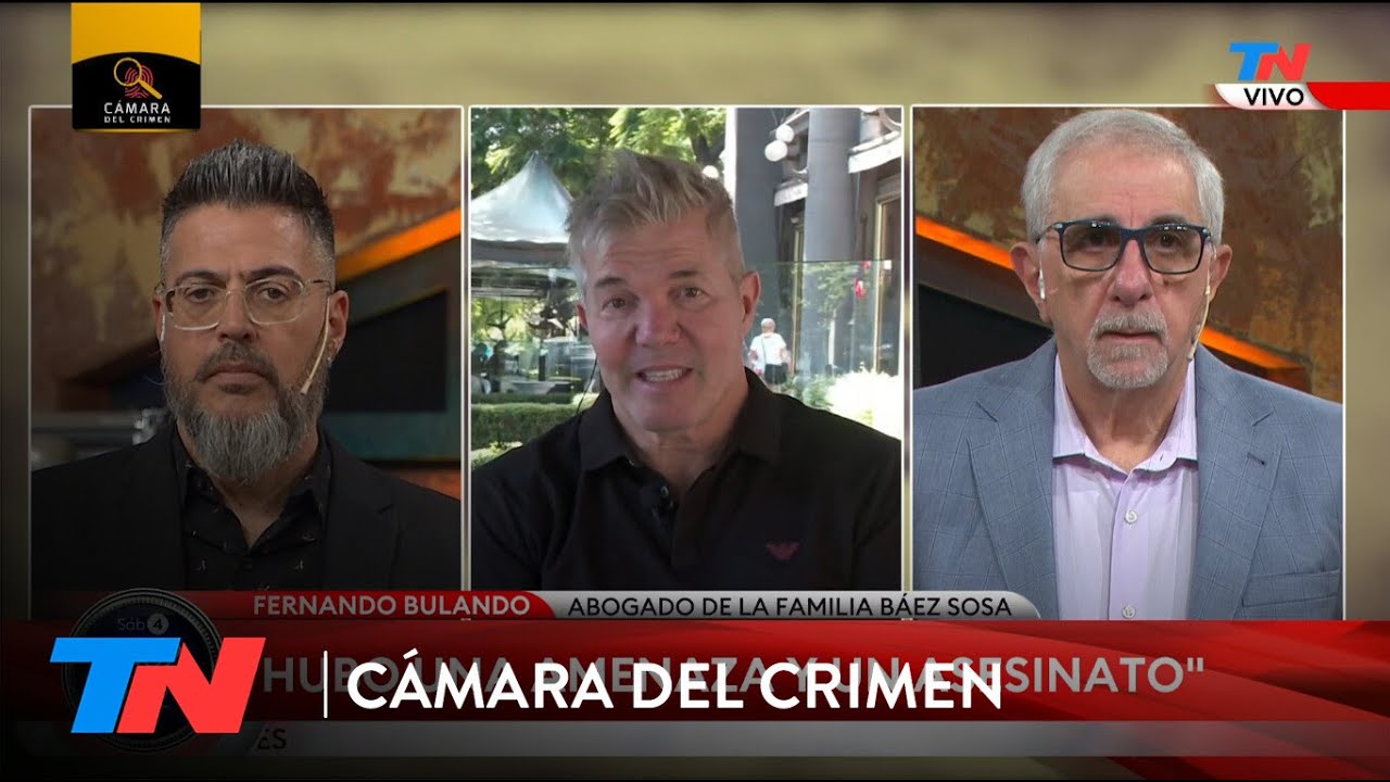 EL CRIMEN DE FERNANDO BÁEZ SOSA: 