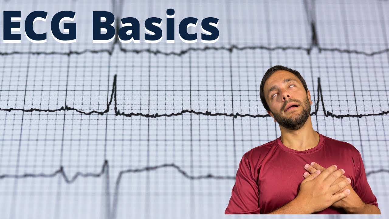 Understanding The Basics Of An ECG - NSCA CSCS Exam